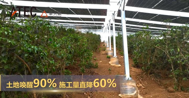 撒永山光伏传奇:《人民日报》头条点赞的高原光伏答案——擎天晴索网柔性支架林光系列(图8) 撒永山光伏传奇:《人民日报》头条点赞的高原光伏答案——擎天晴索网柔性支架林光系列(图8)
