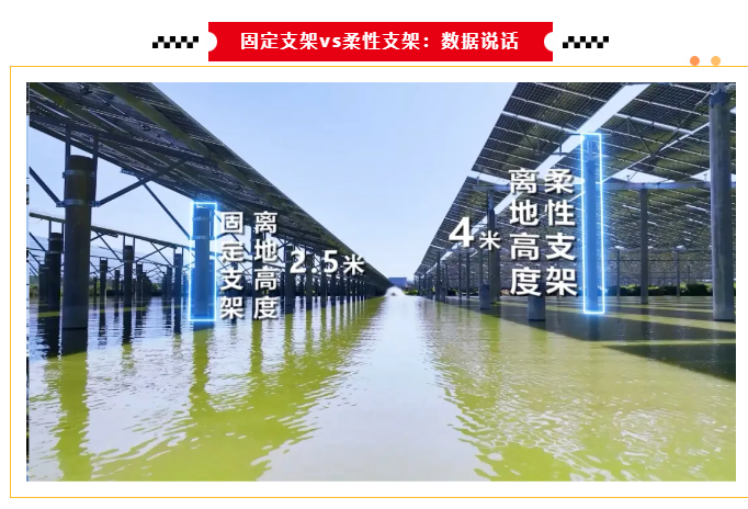 柔性支架,如何平衡光伏电站的安全与性价比(图2) image.png